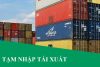 tạm nhập tái xuất